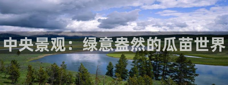 新宝GG挂机:中央景观:绿意盎然的瓜苗世界