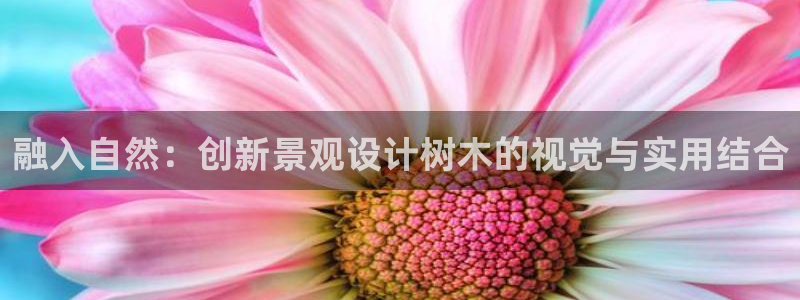 新宝gg漏洞:融入自然:创新景观设计树木的视觉与实用结合